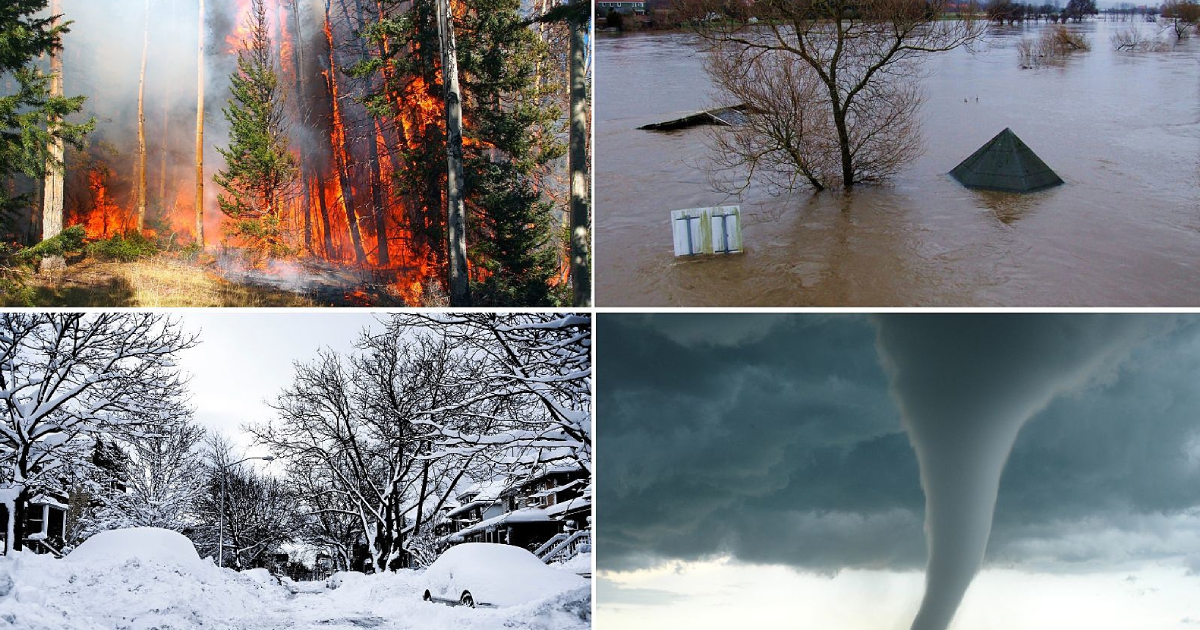 How 855WhoDoICall Can Save You in a Crisis